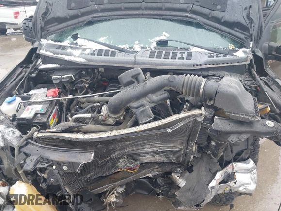 2016 Ford F-150 XLT with VIN 1FTEW1EF1GKD51621, listed as a IAAI auction lot 41567447 with Not provided miles and . Bid and sale history available at DreamBid. Image 10.