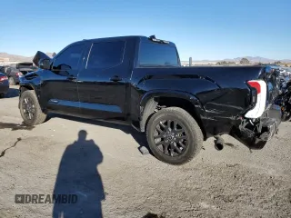 2023 Toyota Tundra Platinum with VIN 5TFNA5DB3PX084778, listed as a Copart auction lot 87190314 with 19,051 mi miles and Salvage title. Bid and sale history available at DreamBid. Image 2.