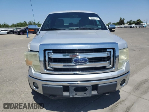 2013 Ford F-150 XL with VIN 1FTFW1EF4DKE06241, listed as a Copart auction lot 60306105 with 171,658 mi miles and Salvage title. Bid and sale history available at DreamBid. Image 5.