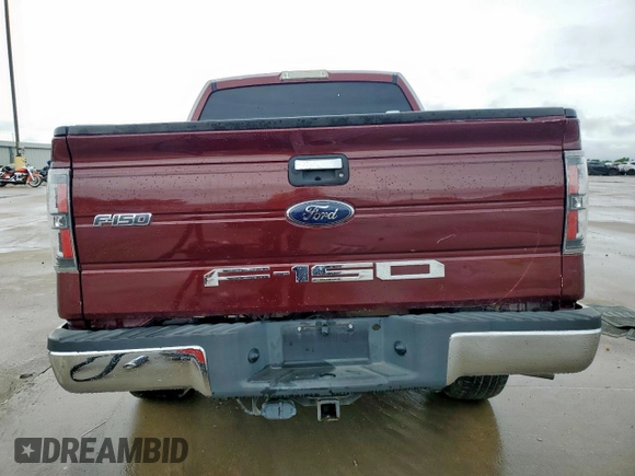 2009 Ford F-150 XL with VIN 1FTRW128X9FA32446, listed as a Copart auction lot 60648505 with 210,587 mi miles and Salvage title. Bid and sale history available at DreamBid. Image 6.