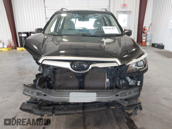 2019 Subaru Forester with VIN JF2SKACC3KH429704, listed as a IAAI auction lot 42561407 with 96,228 mi miles and . Bid and sale history available at DreamBid. Image 13.