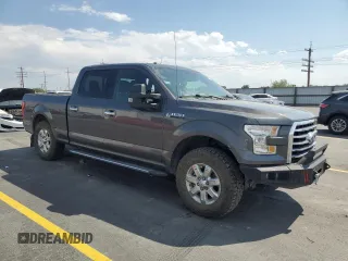 2016 Ford F-150 XLT with VIN 1FTFW1EFXGKF69299, listed as a Copart auction lot 60369425 with 125,205 mi miles and Salvage title. Bid and sale history available at DreamBid. Image 4.