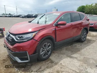 2020 Honda CR-V EX-L with VIN 7FART6H83LE015176, listed as a Copart auction lot 54429965 with 25,100 mi miles and Salvage title. Bid and sale history available at DreamBid. Image 1.