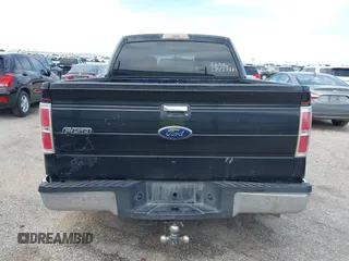 2010 Ford F-150 XL with VIN 1FTEW1C82AKA48763, listed as a IAAI auction lot 41950704 with 206,422 mi miles. Bid and sale history available at carsss.com. Image 16.
