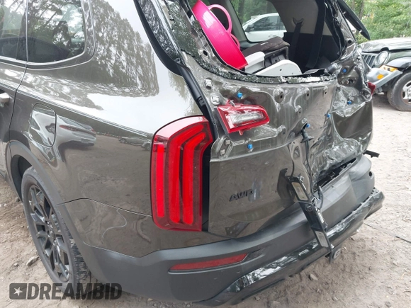 2022 Kia Telluride EX z VIN 5XYP3DHC6NG304172, wystawiony jako IAAI lot #42377593 z przebiegiem 46 013 mil mil oraz . Historia ofert i sprzedaży dostępna na DreamBid. Obrazek 6.