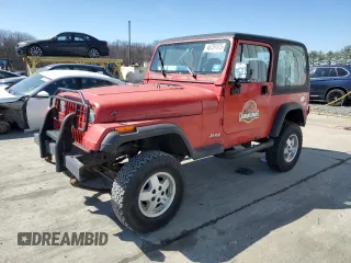 1994 Jeep Wrangler S with VIN 1J4FY19P1RP473249, listed as a Copart auction lot 48751975 with 102,666 mi miles and Clean Title. Bid and sale history available at carsss.com. Image 1.