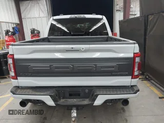 2023 Ford F-150 Raptor with VIN 1FTFW1RGXPFB25318, listed as a IAAI auction lot 41506476 with Not Provided miles and . Bid and sale history available at DreamBid. Image 15.