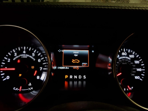 2021 Ford Mustang GT with VIN 1FA6P8CF0M5136521, listed as a Copart auction lot 54514955 with 16,394 mi miles and Salvage title. Bid and sale history available at DreamBid. Image 9.