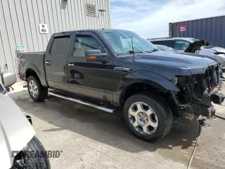 2010 Ford F-150 XL with VIN 1FTFW1EV2AFD23600, listed as a Copart auction lot 54312395 with 250,649 mi miles and Clean Title. Bid and sale history available at carsss.com. Image 4.