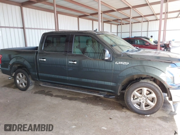 2018 Ford F-150 XL with VIN 1FTEW1CP3JKC79386, listed as a IAAI auction lot 41843250 with 114,679 mi miles. Bid and sale history available at carsss.com. Image 13.