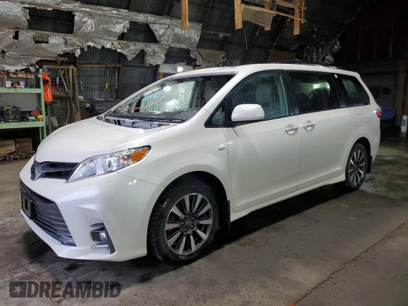 2019 Toyota Sienna XLE with VIN 5TDDZ3DC0KS217173, listed as a Copart auction lot 48677095 with 96,728 mi miles and Salvage Title. Bid and sale history available at carsss.com. Image 1.