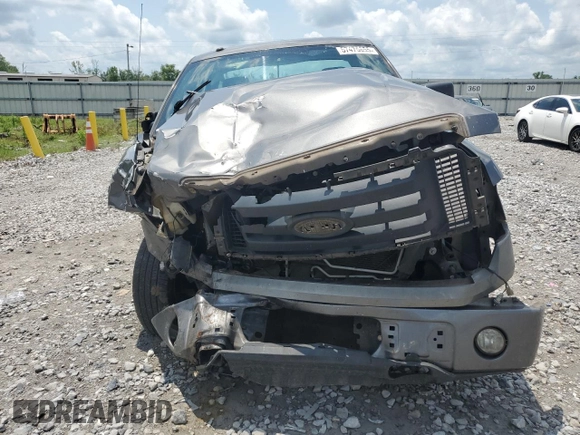 2009 Ford F-150 XL with VIN 1FTRF12W19KB34000, listed as a Copart auction lot 57475655 with Not provided miles and Salvage title. Bid and sale history available at DreamBid. Image 5.