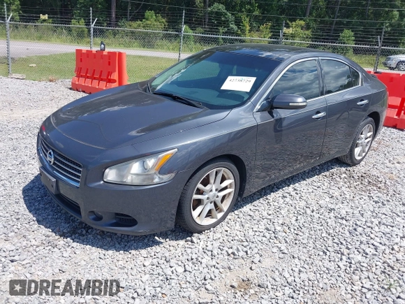 2010 Nissan Maxima SV с VIN 1N4AA5APXAC829674, выставлен на аукционе IAAI как лот 42738729 с пробегом 230 702 миль миль и . История ставок и продаж доступна на DreamBid. Изображение 2.