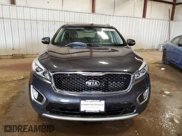 2016 Kia Sorento EX with VIN 5XYPHDA18GG028395, listed as a Copart auction lot 49079815 with 125,643 mi miles and Salvage Title. Bid and sale history available at DreamBid. Image 5.