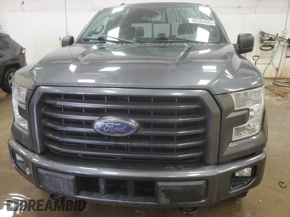 2016 Ford F-150 XLT with VIN 1FTFW1EGXGFC50163, listed as a Copart auction lot 42385325 with 140,396 mi miles and Clean Title. Bid and sale history available at carsss.com. Image 5.