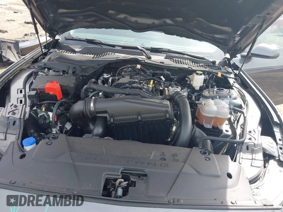 2024 Ford Mustang EcoBoost with VIN 1FA6P8TH6R5133406, listed as a IAAI auction lot 41803789 with 11,498 mi miles and . Bid and sale history available at DreamBid. Image 10.