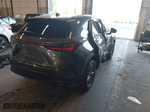 2024 Lexus NX with VIN JTJAGCEZXR5008810, listed as a IAAI auction lot 41152105 with 5,944 mi miles. Bid and sale history available at carsss.com. Image 4.