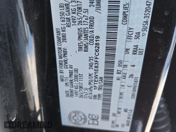 2015 Ford F-150 XLT with VIN 1FTEW1E83FFC62819, listed as a Copart auction lot 88493345 with 295,867 mi miles and Salvage Title. Bid and sale history available at DreamBid. Image 13.