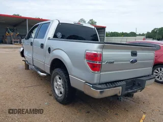 2010 Ford F-150 XL with VIN 1FTEW1C86AFB15213, listed as a IAAI auction lot 42072644 with 234,058 mi miles. Bid and sale history available at carsss.com. Image 3.