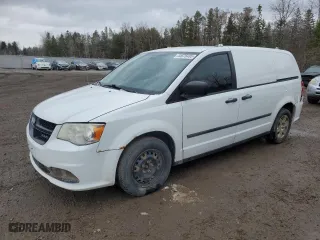 2013 Ram Cargo Van Tradesman with VIN 2C4JRGAG3DR813732, listed as a Copart auction lot 44676485 with 220,704 mi miles and Clean Title. Bid and sale history available at carsss.com. Image 1.