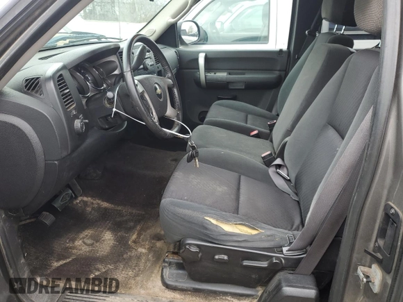 2009 Chevrolet Silverado 1500 LT with VIN 1GCEK29019Z157222, listed as a Copart auction lot 53650025 with 266,879 mi miles and Clean Title. Bid and sale history available at carsss.com. Image 7.