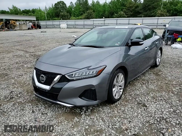 2022 Nissan Maxima SV with VIN 1N4AA6CV7NC505556, listed as a Copart auction lot 56204185 with 52,160 mi miles and Salvage title. Bid and sale history available at DreamBid. Image 13.