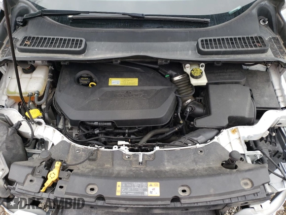 2014 Ford Escape SE with VIN 1FMCU0GX6EUA03906, listed as a Copart auction lot 50356845 with 101,852 mi miles and Salvage Title. Bid and sale history available at carsss.com. Image 11.