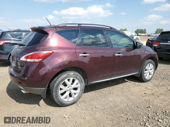 2014 Nissan Murano S with VIN JN8AZ1MW8EW502391, listed as a Copart auction lot 66810204 with 206,861 mi miles and Clean Title. Bid and sale history available at DreamBid. Image 3.