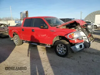2009 Ford F-150 XL with VIN 1FTRW14849FA05790, listed as a Copart auction lot 87194234 with 212,721 mi miles and Salvage Title. Bid and sale history available at DreamBid. Image 4.