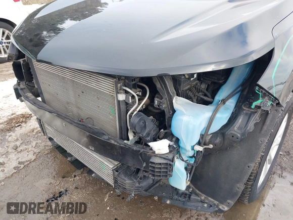 2019 Chevrolet Equinox LS with VIN 2GNAXHEV5K6117738, listed as a IAAI auction lot 41325894 with 102,821 mi miles and . Bid and sale history available at DreamBid. Image 6.