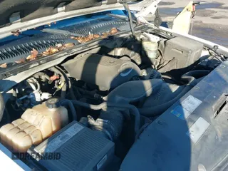 2002 Chevrolet Silverado 1500 z VIN 1GCEC14VX2E147943, wystawiony jako IAAI lot #41518142 z przebiegiem 345 523 mil mil oraz . Historia ofert i sprzedaży dostępna na DreamBid. Obrazek 13.