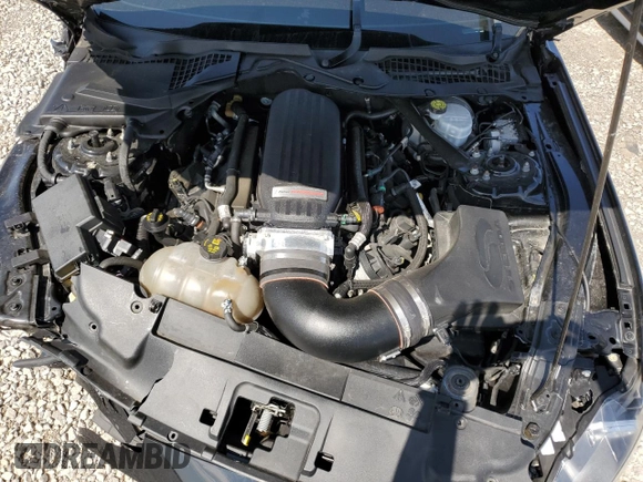 2019 Ford Mustang GT with VIN 1FA6P8CF7K5194106, listed as a Copart auction lot 52492345 with 40,719 mi miles and Salvage title. Bid and sale history available at DreamBid. Image 13.