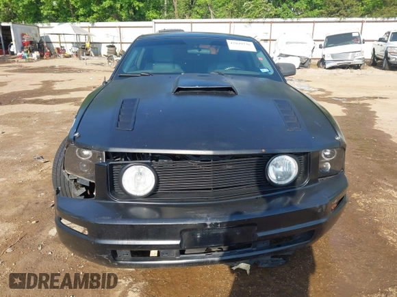 2005 Ford Mustang Deluxe with VIN 1ZVFT80N455247055, listed as a IAAI auction lot 42049726 with 182,342 mi miles and . Bid and sale history available at DreamBid. Image 12.