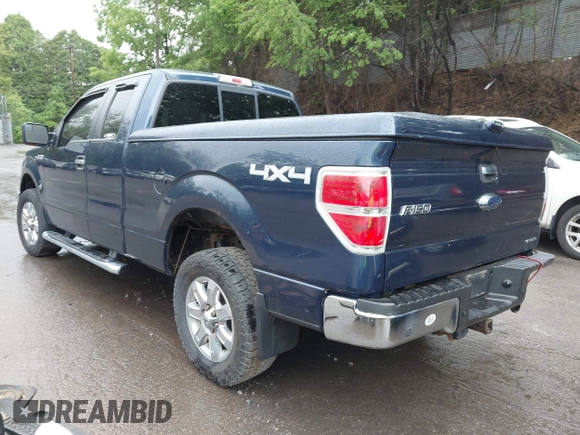 2013 Ford F-150 XL with VIN 1FTFX1EFXDFB89719, listed as a IAAI auction lot 42310707 with 142,977 mi miles and . Bid and sale history available at DreamBid. Image 3.