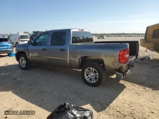 2009 Chevrolet Silverado 1500 LS with VIN 3GCEC13C59G226181, listed as a Copart auction lot 86012874 with 223,162 mi miles and Salvage Title. Bid and sale history available at carsss.com. Image 2.