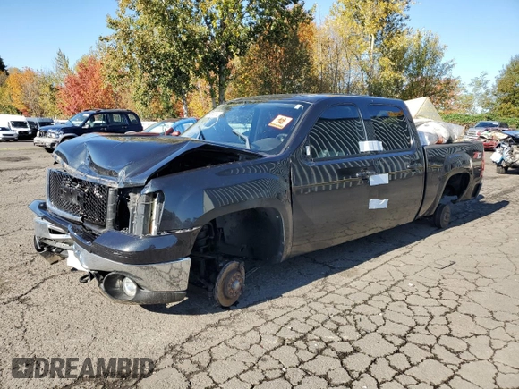 2009 GMC Sierra 1500 with VIN 2GTEK333391130783, listed as a Copart auction lot 43365775 with Not Provided miles and Salvage Title. Bid and sale history available at DreamBid. Image 1.