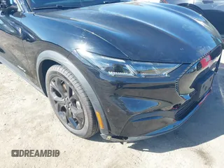 2024 Ford Mustang Mach-E Select with VIN 3FMTK1R41RMA50110, listed as a IAAI auction lot 41965729 with 2,385 mi miles and . Bid and sale history available at DreamBid. Image 19.