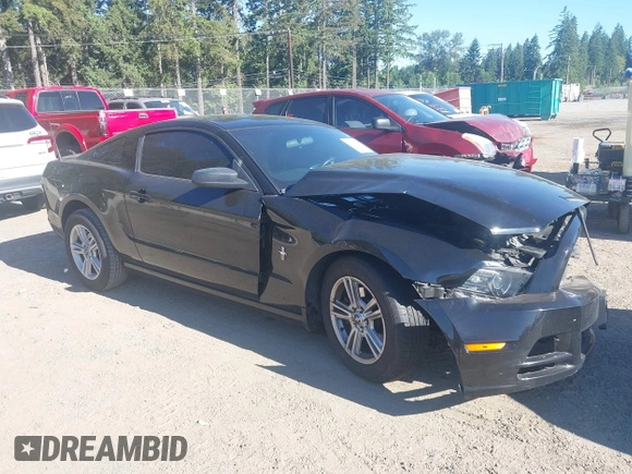 2013 Ford Mustang V6 with VIN 1ZVBP8AM3D5269846, listed as a IAAI auction lot 42460827 with 80,934 mi miles and . Bid and sale history available at DreamBid. Image 1.