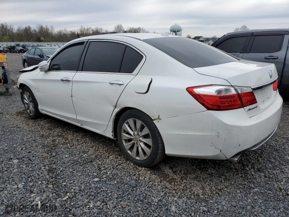 2014 Honda Accord Sedan EX-L with VIN 1HGCR3F86EA032276, listed as a Copart auction lot 52964505 with 0 mi miles and Clean Title. Bid and sale history available at carsss.com. Image 2.