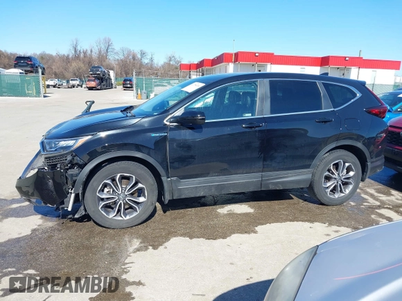 2022 Honda CR-V EX-L with VIN 5J6RT6H89NL009646, listed as a IAAI auction lot 41758189 with 26,256 mi miles and . Bid and sale history available at DreamBid. Image 15.