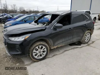 2024 Ford Escape Active with VIN 1FMCU9GN8RUB32870, listed as a Copart auction lot 42954235 with 0 mi miles and Non Repairable. Bid and sale history available at carsss.com. Image 1.