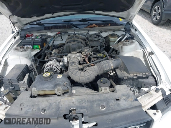 2006 Ford Mustang Standard с VIN 1ZVHT84N765251072, выставлен на аукционе IAAI как лот 42291994 с пробегом 283 553 миль миль и . История ставок и продаж доступна на DreamBid. Изображение 10.