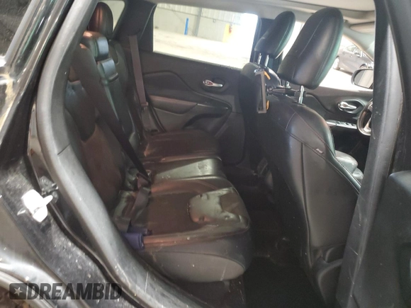 2016 Jeep Cherokee Trailhawk with VIN 1C4PJMBS4GW267375, listed as a Copart auction lot 58476005 with 116,151 mi miles and Salvage title. Bid and sale history available at DreamBid. Image 10.
