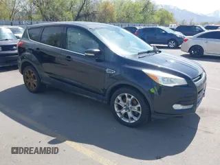 2013 Ford Escape SEL with VIN 1FMCU0H98DUB16061, listed as a IAAI auction lot 42046687 with 204,913 mi miles. Bid and sale history available at carsss.com. Image 1.