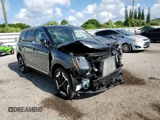 2023 Kia Telluride EX z VIN 5XYP34GC0PG393550, wystawiony jako Copart lot #59342944 z przebiegiem 19 118 mil mil oraz Szkoda całkowita • Salvage title. Historia ofert i sprzedaży dostępna na DreamBid. Obrazek 12.