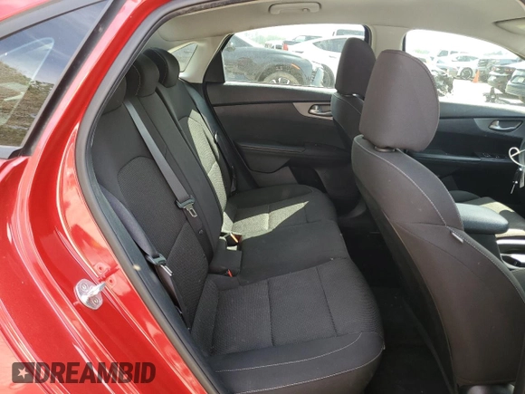 2019 Kia Forte LXS with VIN 3KPF24AD9KE034459, listed as a Copart auction lot 49451325 with 117,355 mi miles and Salvage Title. Bid and sale history available at DreamBid. Image 10.