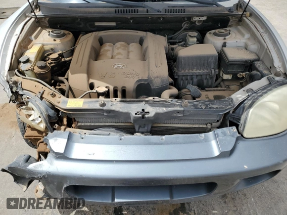 2004 Hyundai Santa Fe GLS with VIN KM8SC13D64U606532, listed as a Copart auction lot 51547445 with 243,144 mi miles and Salvage Title. Bid and sale history available at carsss.com. Image 12.