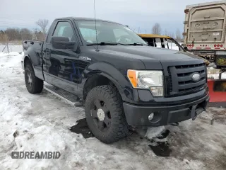 2009 Ford F-150 STX with VIN 1FTRF04W49KB36525, listed as a Copart auction lot 47117575 with 106,291 mi miles and Salvage title. Bid and sale history available at DreamBid. Image 4.