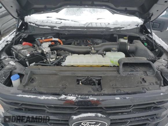 2024 Ford F-150 XLT with VIN 1FTFW3LD4RFA64867, listed as a Copart auction lot 45149695 with 3,869 mi miles and Clean Title. Bid and sale history available at carsss.com. Image 12.