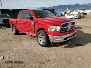2010 Dodge 1500 SLT with VIN 1D7RV1CT7AS145617, listed as a Copart auction lot 50730865 with 194,183 mi miles and Salvage Title. Bid and sale history available at DreamBid. Image 11.